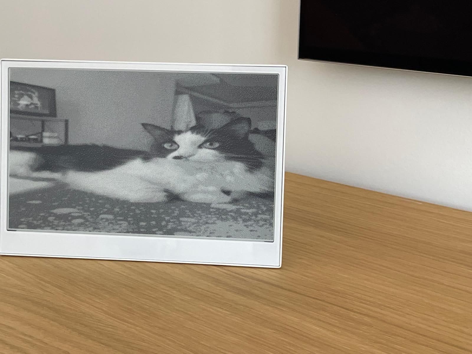 Fotoğraf modu — kendi fotoğrafınız, siyah-beyaz e-ink'e uyarlanır